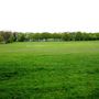 South Norwood Lake