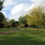Waddon Ponds
