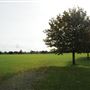 Purley Way Playing Fields