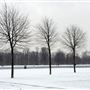 Kensington Gardens in the snow
