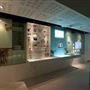 Natural History Museum - Darwin Centre