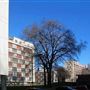 Hallfield Estate