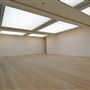 Saatchi Gallery