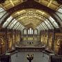 Natural History Museum