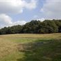 Richmond Park