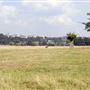 Richmond Park
