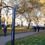 Cavendish Square