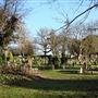 Richmond Old Cemetery