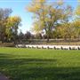 Sutcliffe Park