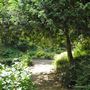 The Tarn