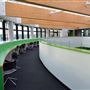 Harris Academy Chobham