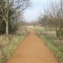 Fairlop Waters