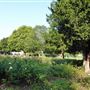 Kilburn Grange Park