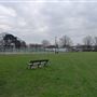 Canbury Gardens