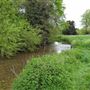 Foots Cray Meadows