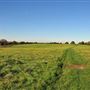 Mitcham Common