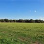 Mitcham Common