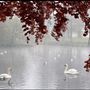 Beddington Park & The Grange