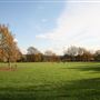 Hendon Park