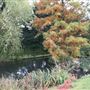Old Court House Recreation Ground