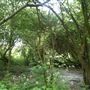 Walthamstow Marshes
