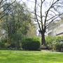 116 Pall Mall