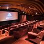The Castle Cinema