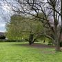 Willersley Park