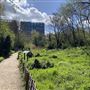 Camley Street Natural Park