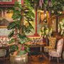Mr Fogg's House of Botanicals