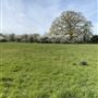 Greenbanks Farm