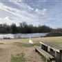 Wanstead Park