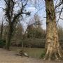 Wanstead Park