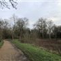 Wanstead Park