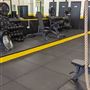 Elite Evolution Gyms - Islington