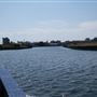 London's Royal Docks