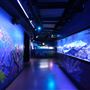 SEA LIFE London Aquarium