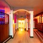 The Apollo Club