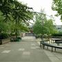 Orleans Park School