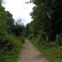 Abney Park Cemetery