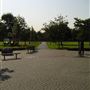 Hackney Downs Park