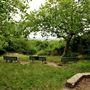 One Tree Hill, Honor Oak Park
