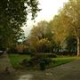 Wren Street