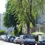 Blenheim Crescent