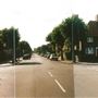 South Tottenham area