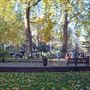 Soho Square