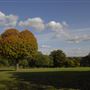 Brockwell Park