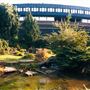 Hammersmith Park