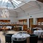 Bluebird Chelsea