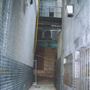 Glasshouse Alley